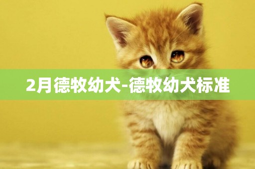 2月德牧幼犬-德牧幼犬標準