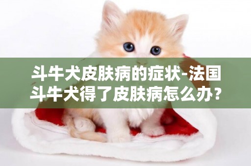 斗牛犬皮膚病的癥狀-法國斗牛犬得了皮膚病怎么辦？