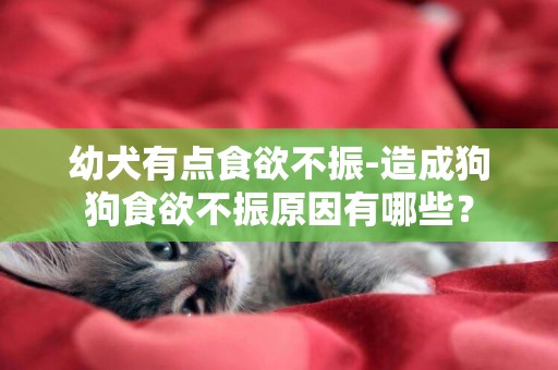 幼犬有點食欲不振-造成狗狗食欲不振原因有哪些？