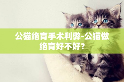 公貓絕育手術利弊-公貓做絕育好不好？