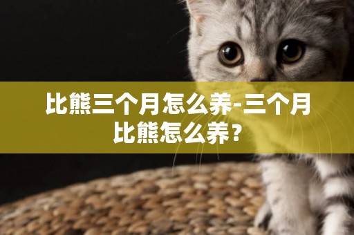 比熊三個月怎么養-三個月比熊怎么養？