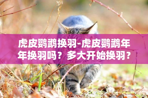 虎皮鸚鵡換羽-虎皮鸚鵡年年換羽嗎？多大開始換羽？