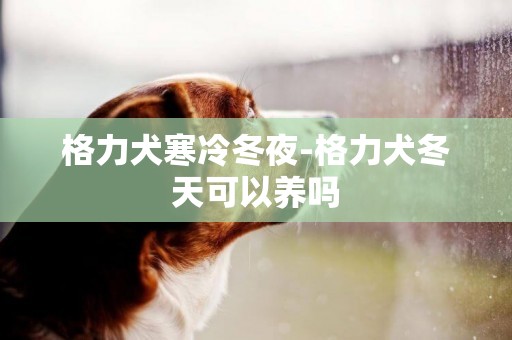 格力犬寒冷冬夜-格力犬冬天可以養嗎