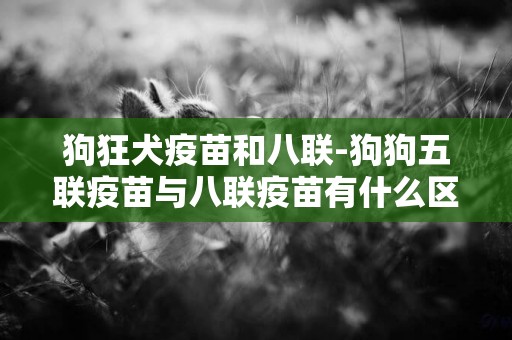 狗狂犬疫苗和八聯-狗狗五聯疫苗與八聯疫苗有什么區別