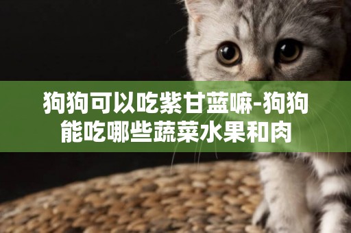 狗狗可以吃紫甘藍嘛-狗狗能吃哪些蔬菜水果和肉