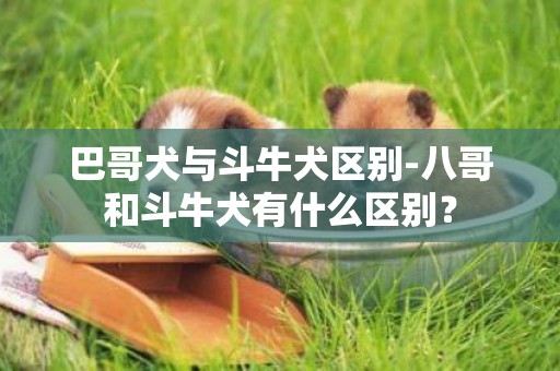 巴哥犬與斗牛犬區別-八哥和斗牛犬有什么區別？