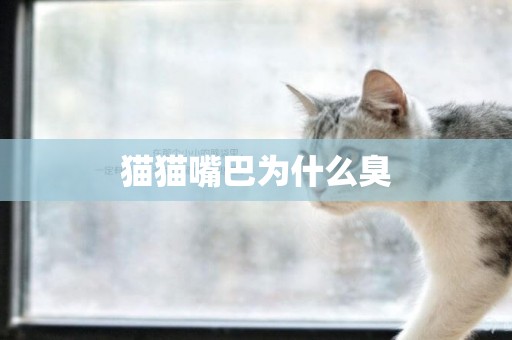 貓貓嘴巴為什么臭