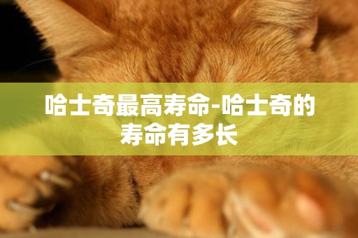 哈士奇最高壽命-哈士奇的壽命有多長
