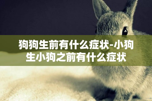狗狗生前有什么癥狀-小狗生小狗之前有什么癥狀