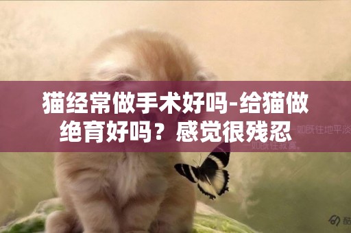 貓經常做手術好嗎-給貓做絕育好嗎？感覺很殘忍