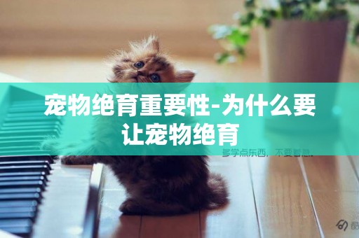 寵物絕育重要性-為什么要讓寵物絕育