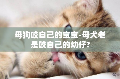 母狗咬自己的寶寶-母犬老是咬自己的幼仔?