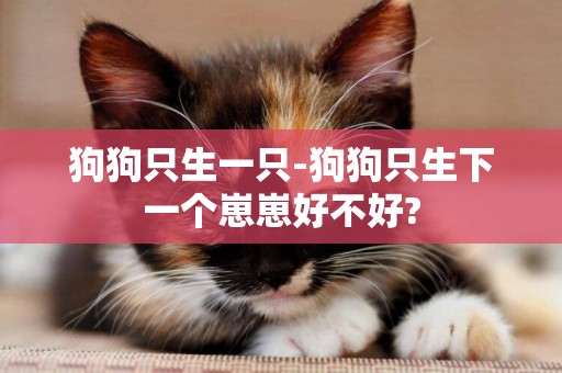 狗狗只生一只-狗狗只生下一個崽崽好不好?