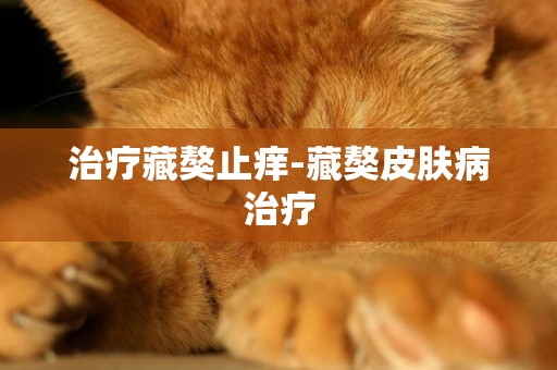 治療藏獒止癢-藏獒皮膚病治療
