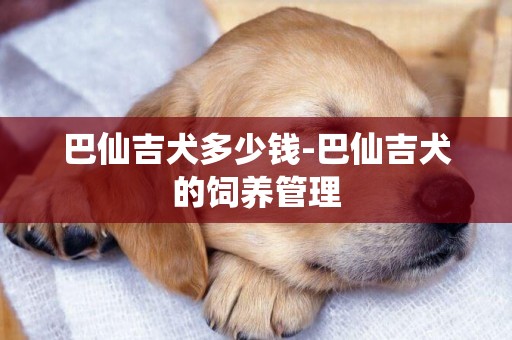 巴仙吉犬多少錢-巴仙吉犬的飼養管理