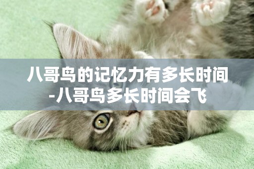 八哥鳥的記憶力有多長時間-八哥鳥多長時間會飛