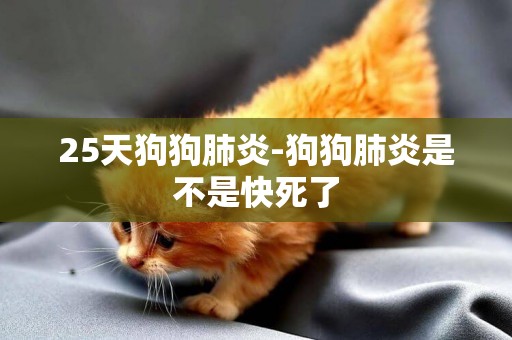 25天狗狗肺炎-狗狗肺炎是不是快死了