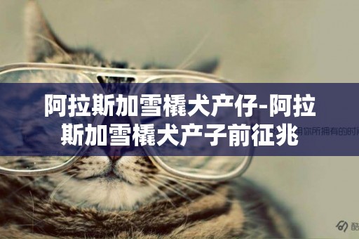 阿拉斯加雪橇犬產仔-阿拉斯加雪橇犬產子前征兆