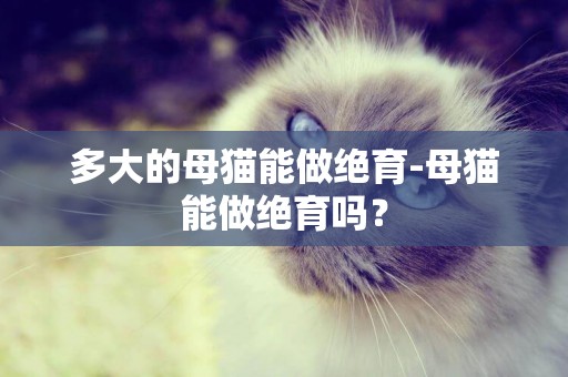 多大的母貓能做絕育-母貓能做絕育嗎？