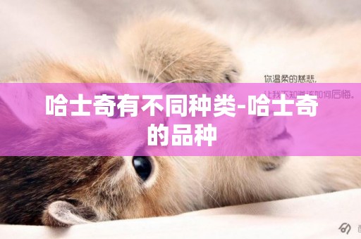 哈士奇有不同種類-哈士奇的品種
