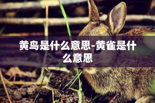 黃鳥是什么意思-黃雀是什么意思