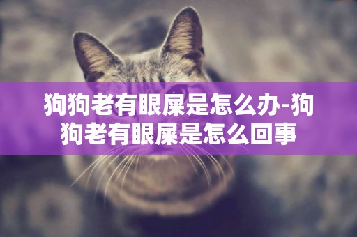 狗狗老有眼屎是怎么辦-狗狗老有眼屎是怎么回事
