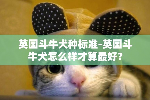 英國斗牛犬種標準-英國斗牛犬怎么樣才算最好？
