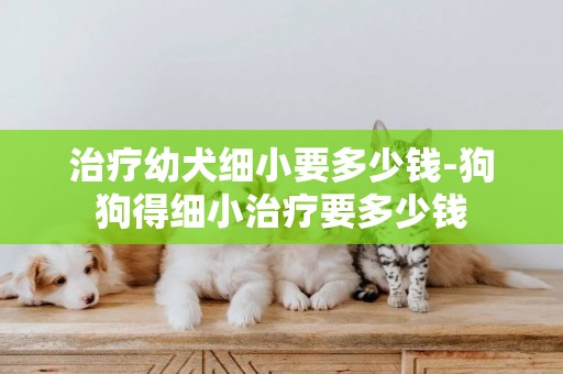 治療幼犬細小要多少錢-狗狗得細小治療要多少錢