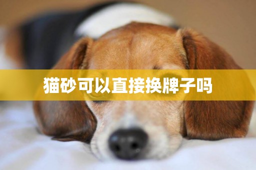 貓砂可以直接換牌子嗎