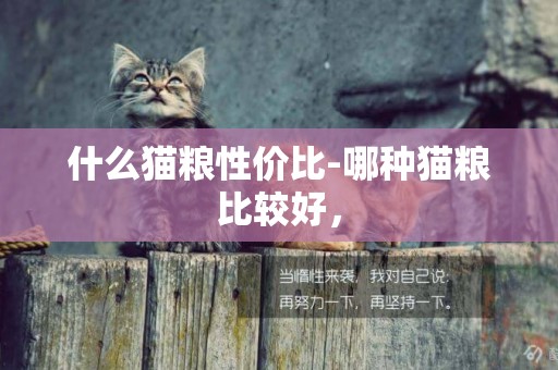 什么貓糧性價比-哪種貓糧比較好，
