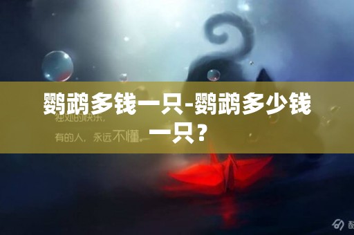 鸚鵡多錢一只-鸚鵡多少錢一只？