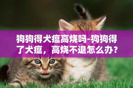 狗狗得犬瘟高燒嗎-狗狗得了犬瘟，高燒不退怎么辦？