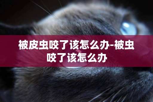 被皮蟲咬了該怎么辦-被蟲咬了該怎么辦