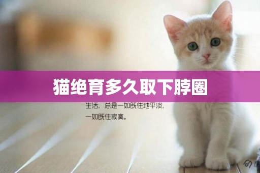 貓絕育多久取下脖圈