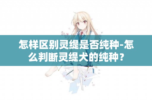 怎樣區別靈緹是否純種-怎么判斷靈緹犬的純種？