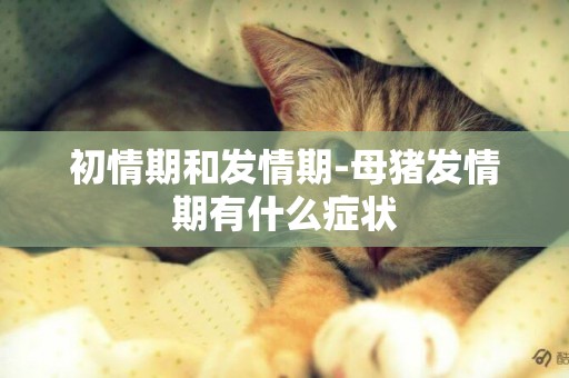 初情期和發情期-母豬發情期有什么癥狀