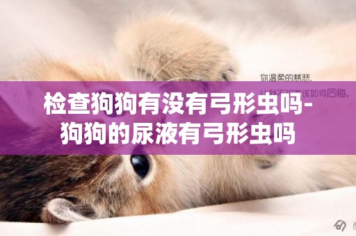 檢查狗狗有沒有弓形蟲嗎-狗狗的尿液有弓形蟲嗎