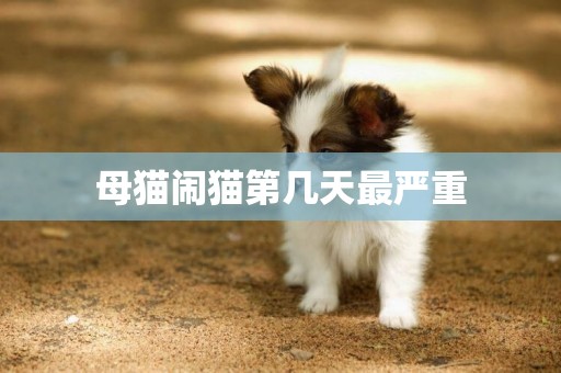 母貓鬧貓第幾天最嚴重