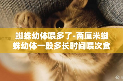 蜘蛛幼體喂多了-兩厘米蜘蛛幼體一般多長時間喂次食