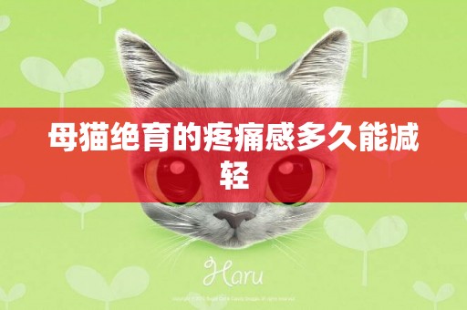 母貓絕育的疼痛感多久能減輕