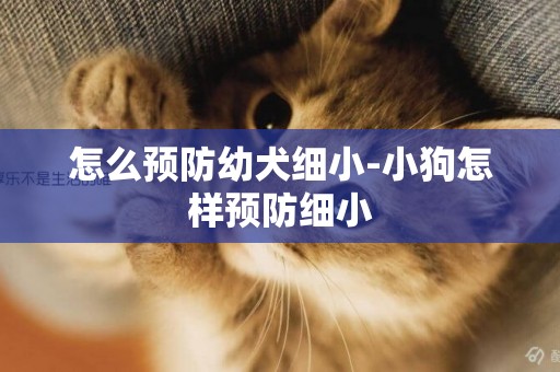 怎么預防幼犬細小-小狗怎樣預防細小