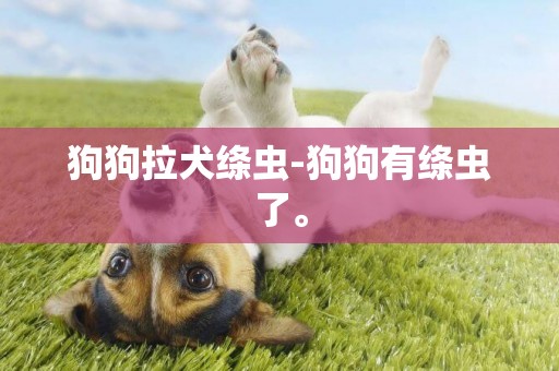狗狗拉犬絳蟲-狗狗有絳蟲了。
