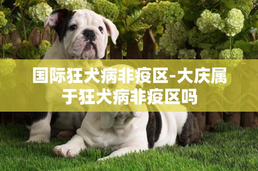 國際狂犬病非疫區-大慶屬于狂犬病非疫區嗎