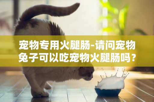 寵物專用火腿腸-請問寵物兔子可以吃寵物火腿腸嗎？