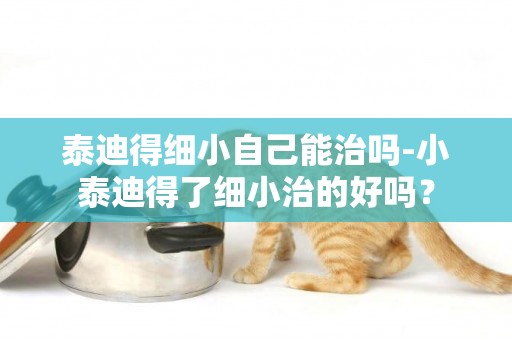 泰迪得細小自己能治嗎-小泰迪得了細小治的好嗎？