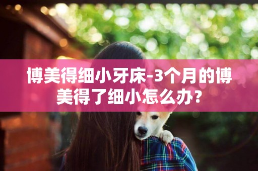 博美得細小牙床-3個月的博美得了細小怎么辦？