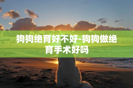 狗狗絕育好不好-狗狗做絕育手術好嗎