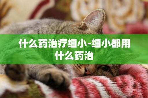 什么藥治療細小-細小都用什么藥治