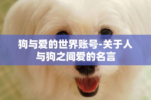 狗與愛的世界賬號-關于人與狗之間愛的名言