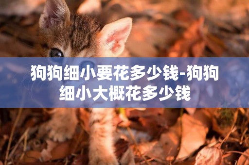 狗狗細小要花多少錢-狗狗細小大概花多少錢